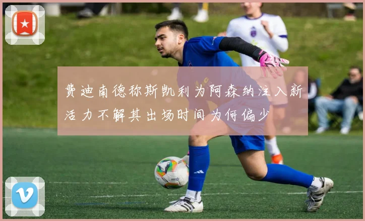 费迪南德称斯凯利为阿森纳注入新活力不解其出场时间为何偏少