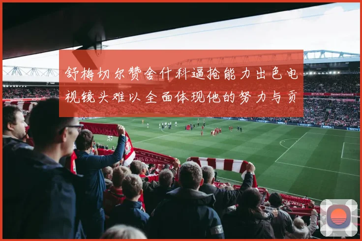 舒梅切尔赞舍什科逼抢能力出色电视镜头难以全面体现他的努力与贡献